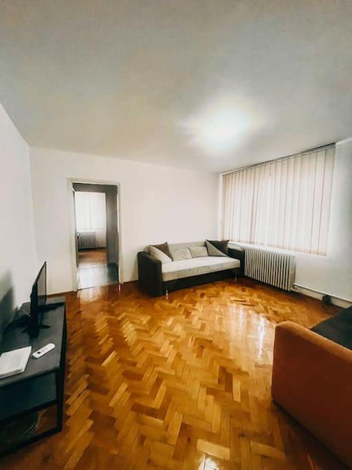 טימישוארה Ultracentral Big Flat Near The Opera Square P17 מראה חיצוני תמונה