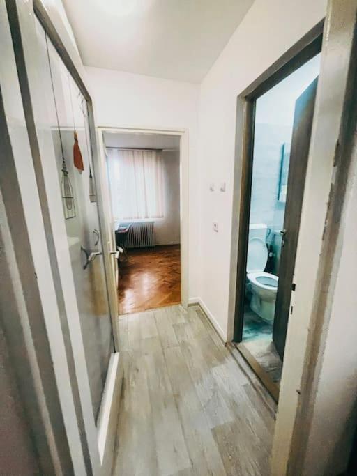 טימישוארה Ultracentral Big Flat Near The Opera Square P17 מראה חיצוני תמונה
