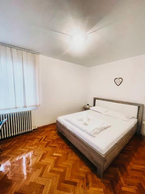 טימישוארה Ultracentral Big Flat Near The Opera Square P17 מראה חיצוני תמונה