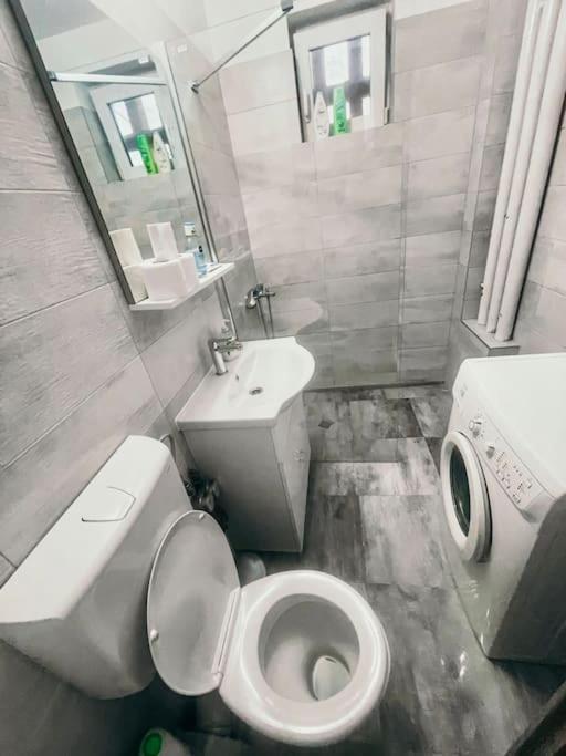 טימישוארה Ultracentral Big Flat Near The Opera Square P17 מראה חיצוני תמונה