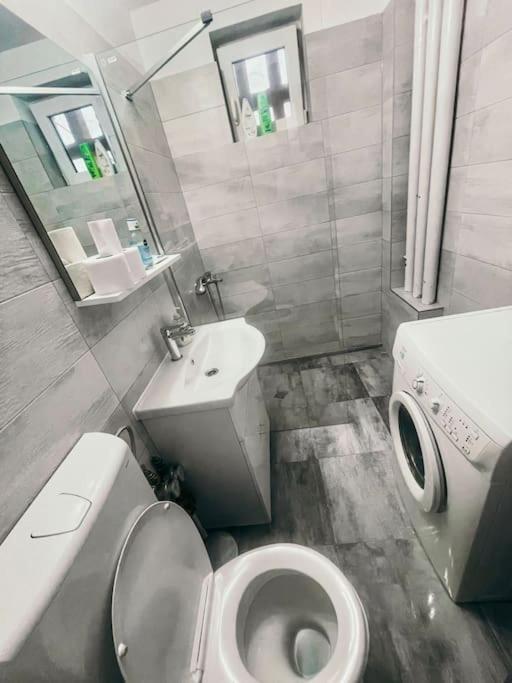 טימישוארה Ultracentral Big Flat Near The Opera Square P17 מראה חיצוני תמונה