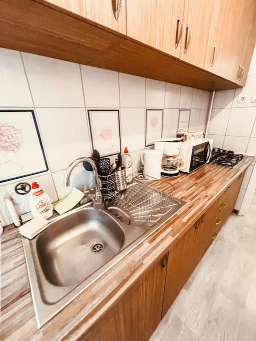 טימישוארה Ultracentral Big Flat Near The Opera Square P17 מראה חיצוני תמונה