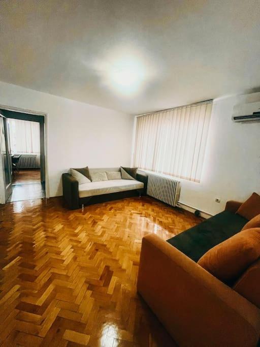 טימישוארה Ultracentral Big Flat Near The Opera Square P17 מראה חיצוני תמונה