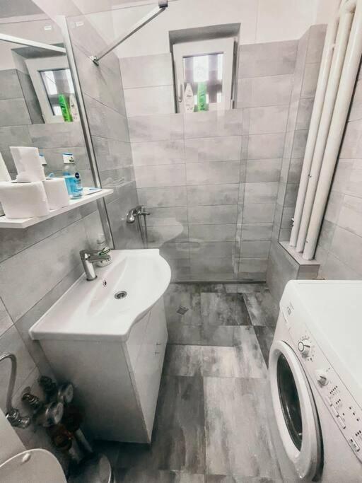 טימישוארה Ultracentral Big Flat Near The Opera Square P17 מראה חיצוני תמונה