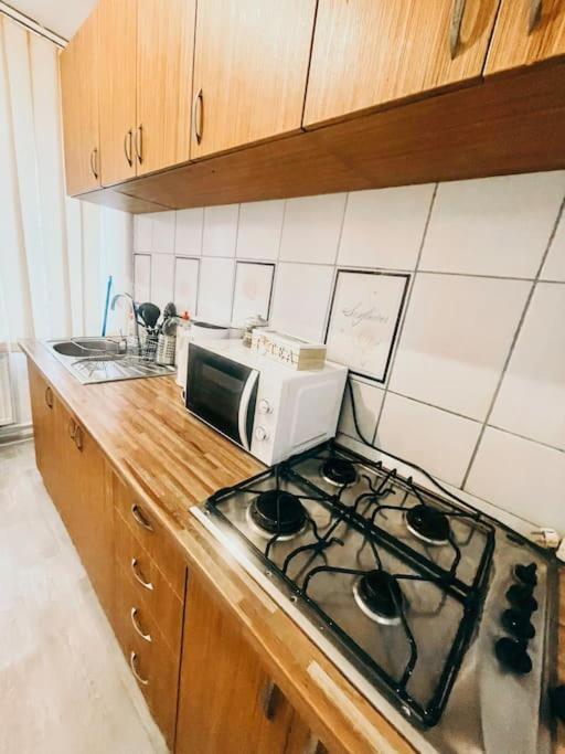 טימישוארה Ultracentral Big Flat Near The Opera Square P17 מראה חיצוני תמונה