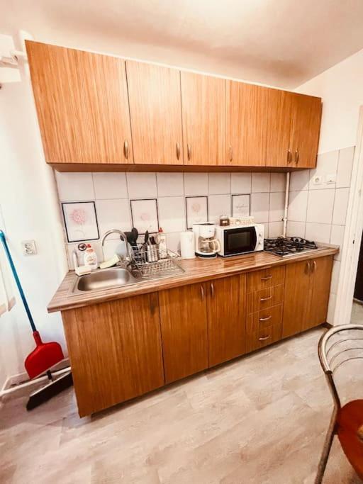 טימישוארה Ultracentral Big Flat Near The Opera Square P17 מראה חיצוני תמונה